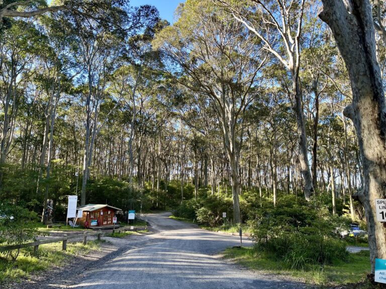 Quiet seaside campground hosts an Aussie music icon
